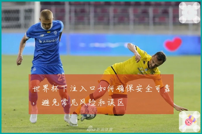 世界杯下注入口如何确保安全可靠，避免常见风险和误区