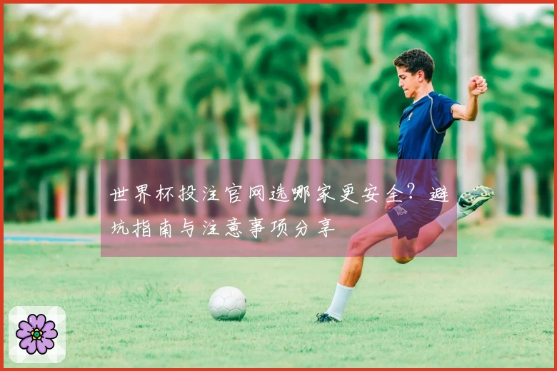 世界杯投注官网选哪家更安全？避坑指南与注意事项分享